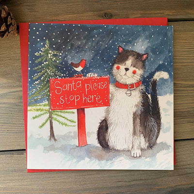 Christmas Santa's Stop Charity Card Pack