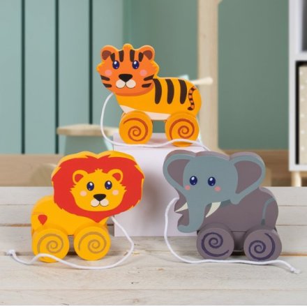 Pull Along Zoo Toys