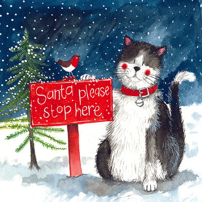 Christmas Santa's Stop Charity Card Pack