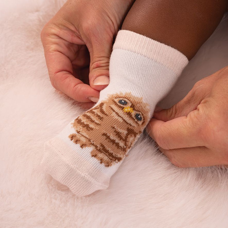 ‘Little Forest’ Woodland Animal Baby Socks 0-6 Months
