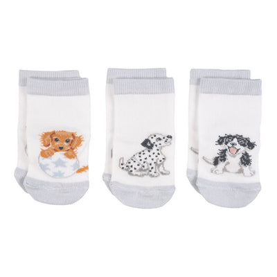 ‘Little Paws’ Dog Baby Socks 0-6 Months