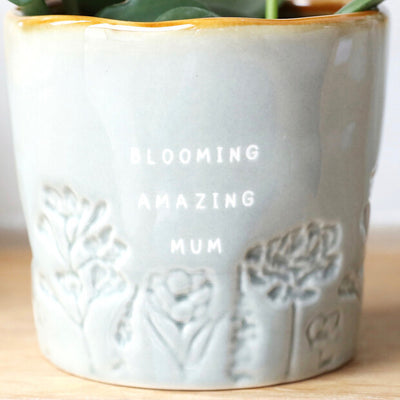 Blooming Amazing Mum Planter