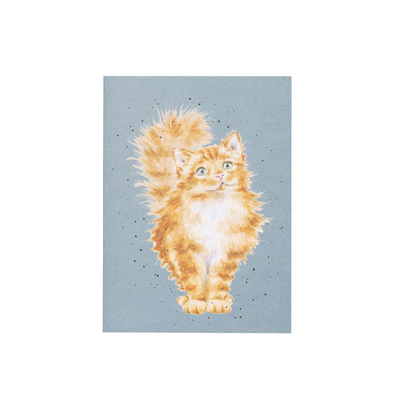 ‘Just Purrr-fect ’ Cat A6 Notebook