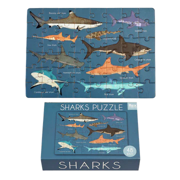 Sharks Matchbox Puzzle