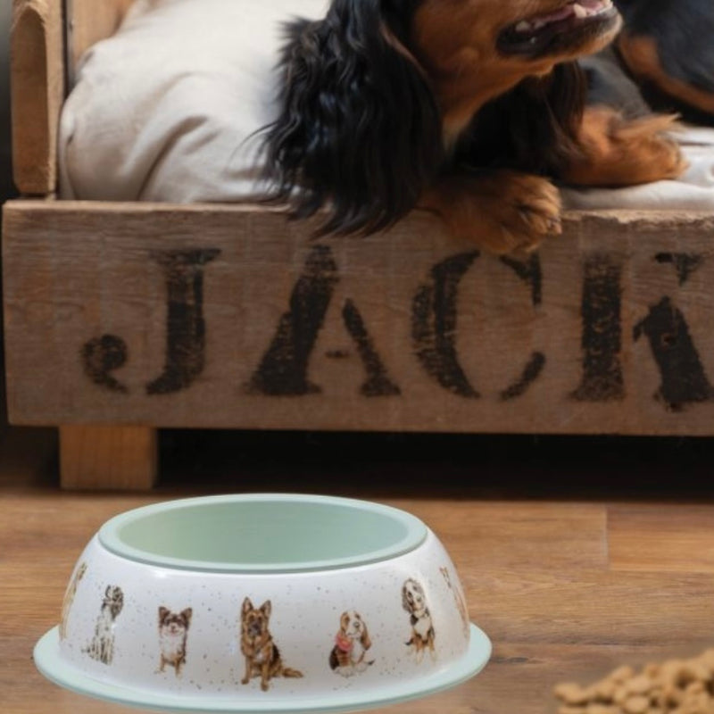 Dog Bowl