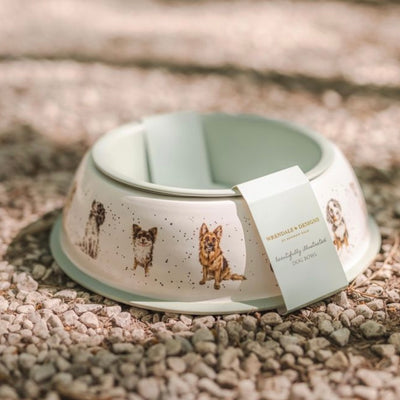 Dog Bowl