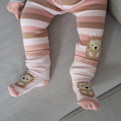 Hedgehog 6-12 Months Leggings & Socks Set