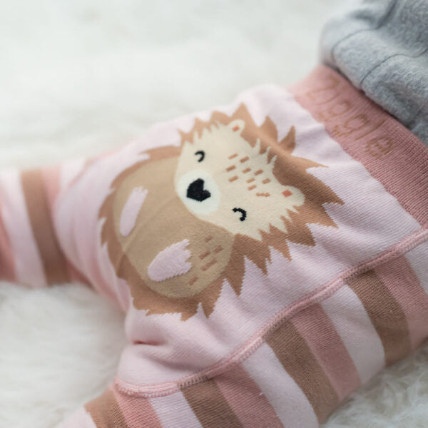 Hedgehog 6-12 Months Leggings & Socks Set