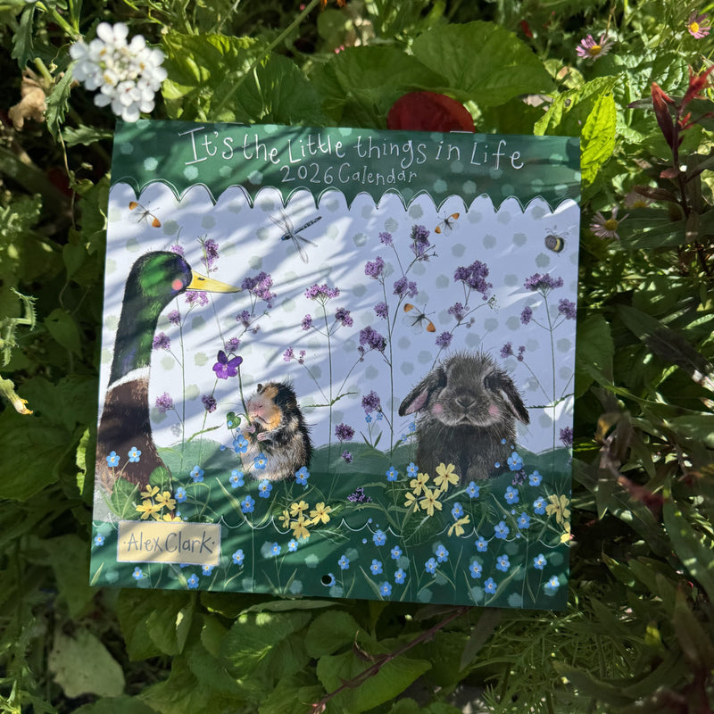 The Little Things 2026 Calendar