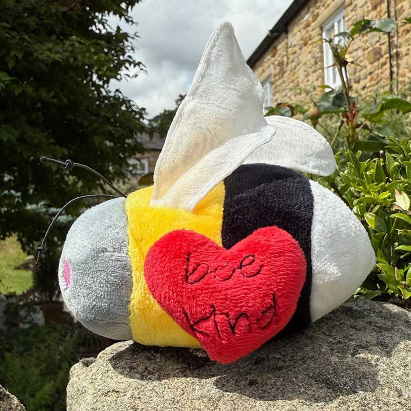 Bee Kind Soft Toy