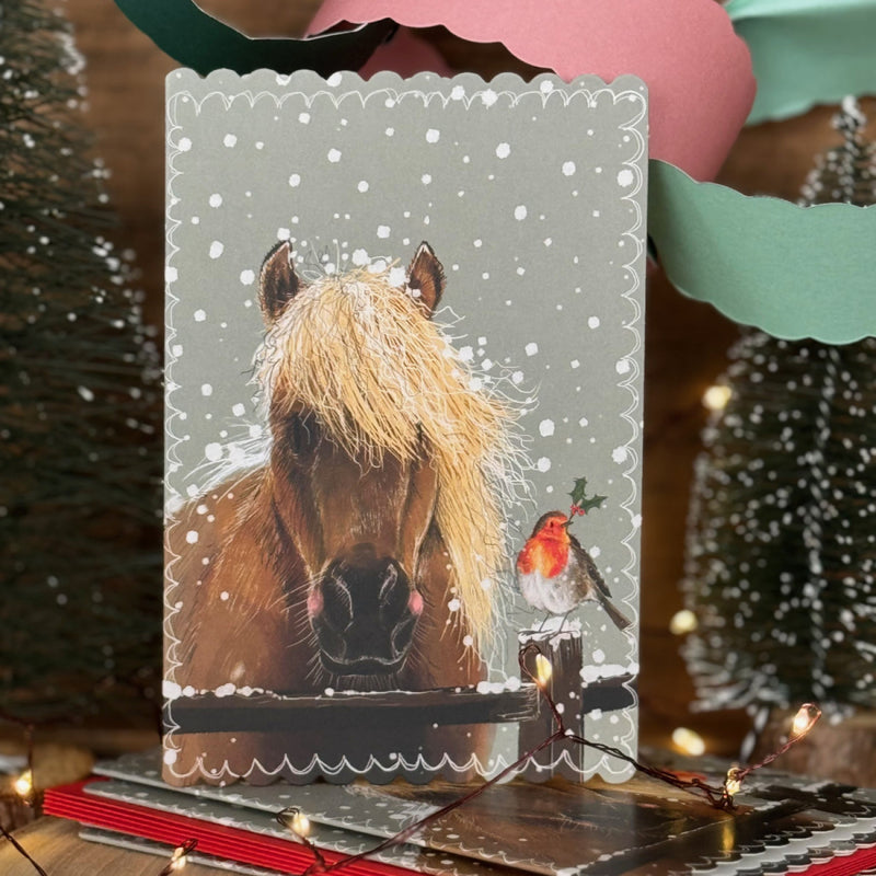 Horse & Robin Christmas Card Pack