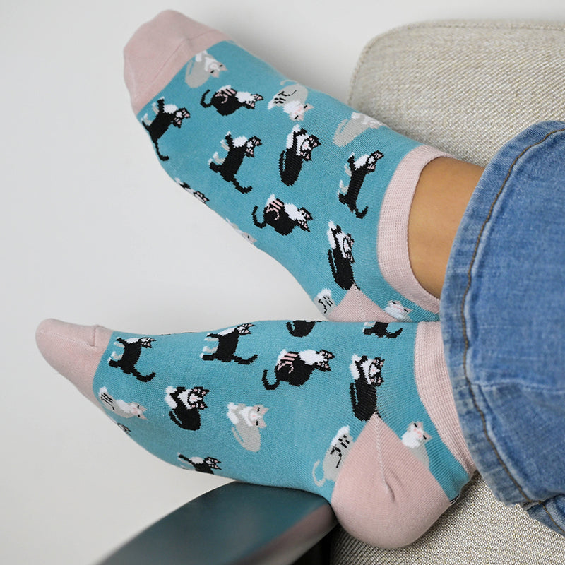 Set Of Two Pink & Blue Cats Trainer Socks