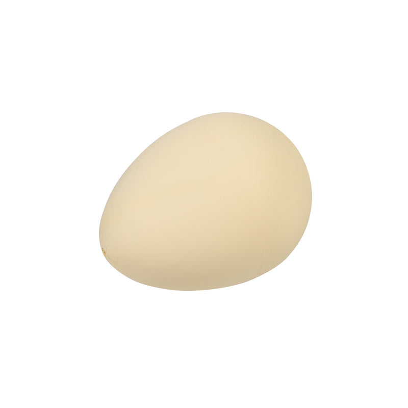 Dinosaur Hatching Egg