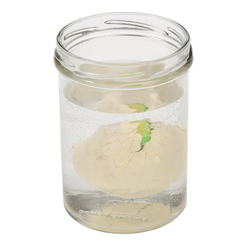 Dinosaur Hatching Egg