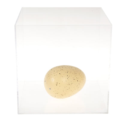 Giant Hatching Fairy Egg