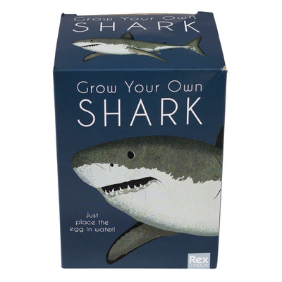 Giant Hatching Shark Egg