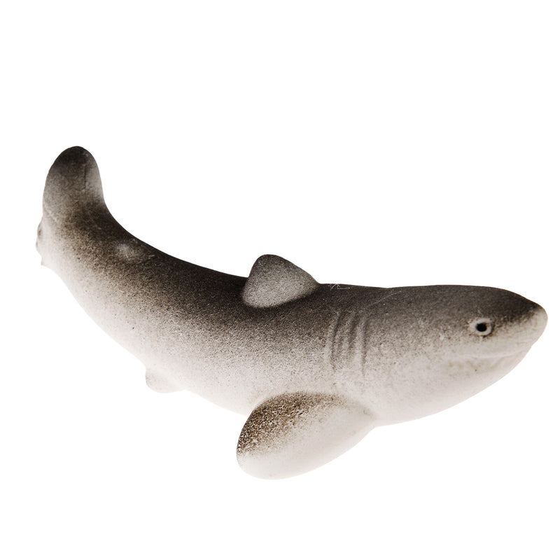 Giant Hatching Shark Egg
