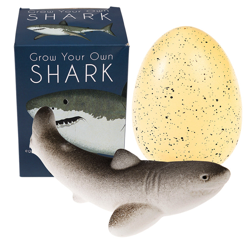 Giant Hatching Shark Egg