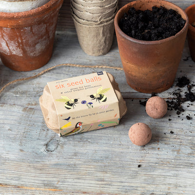 Your Garden Box Of Seedballs