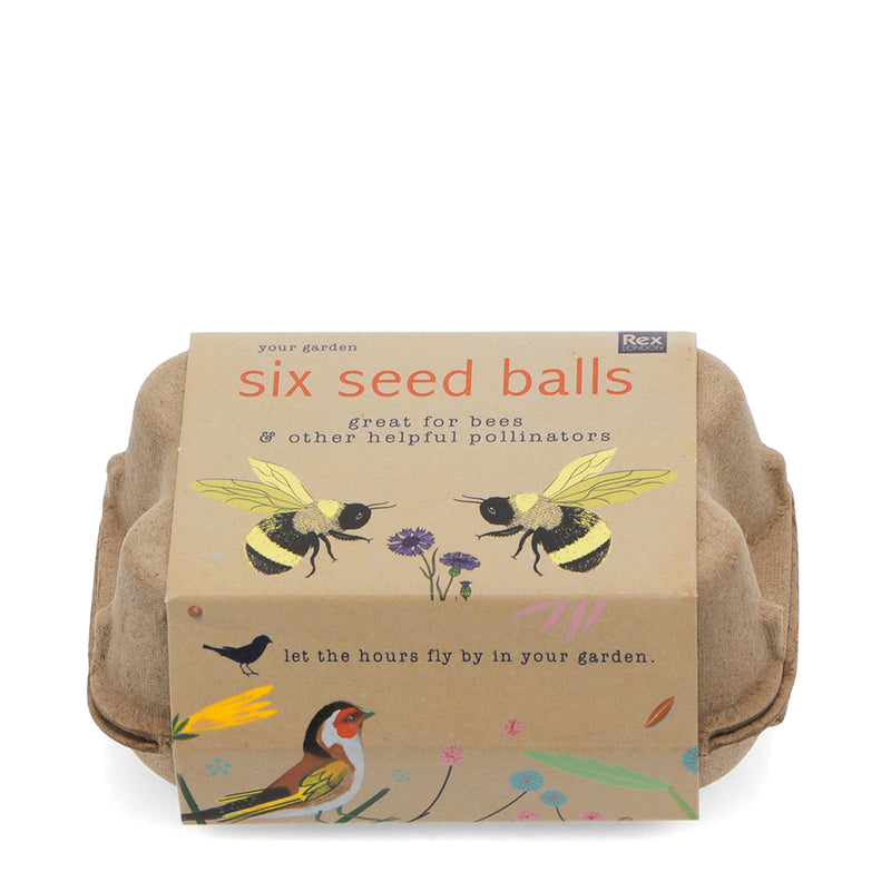 Your Garden Box Of Seedballs