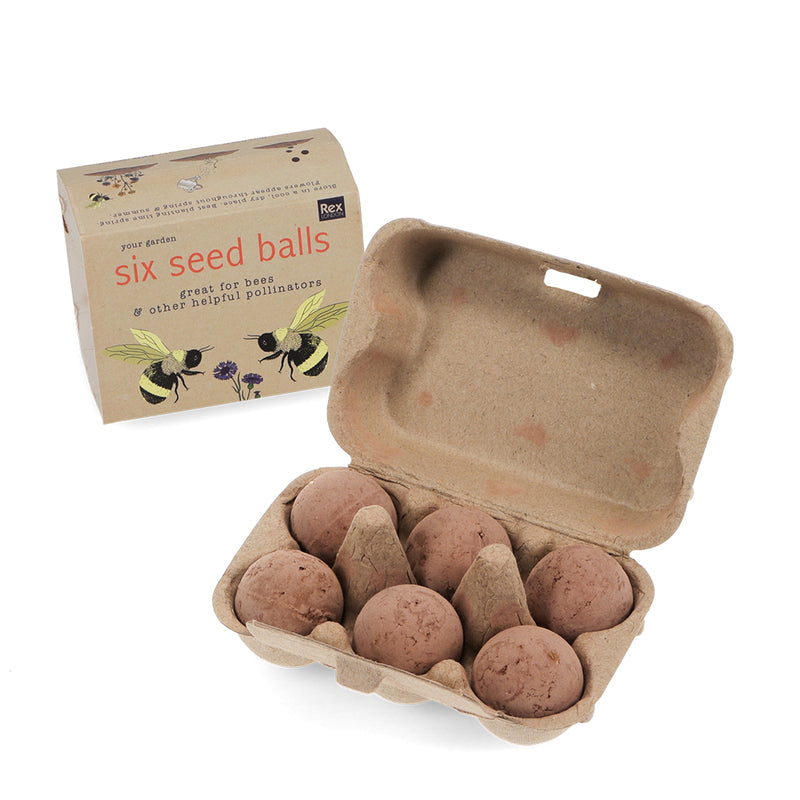 Your Garden Box Of Seedballs