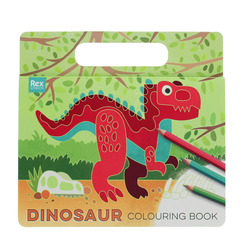 Dinosaur Colouring Book