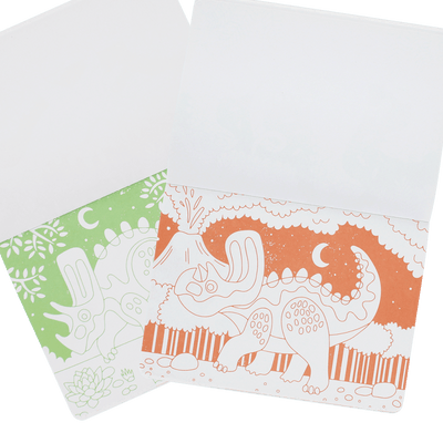 Dinosaur Colouring Book