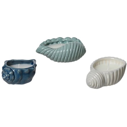 Sea Shell Design Candle