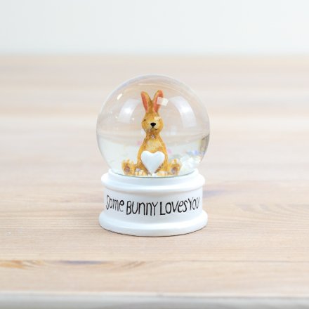 Some Bunny Loves You Snow Globe