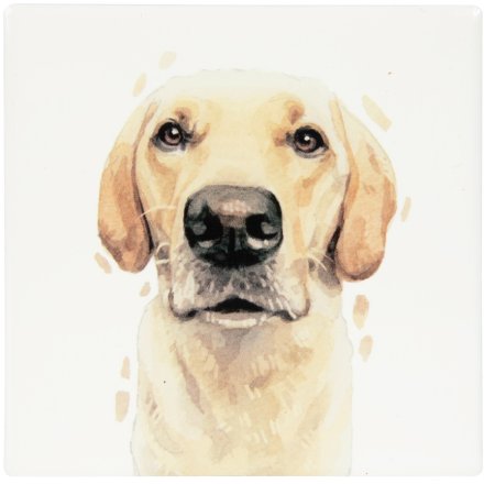 Yellow Labrador Ceramic Coaster