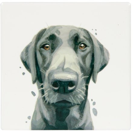 Black Labrador Ceramic Coaster