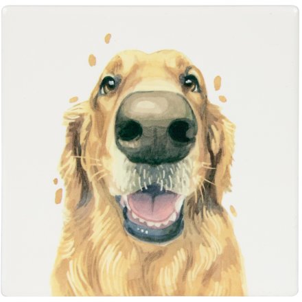Golden Retreiver Ceramic Coaster