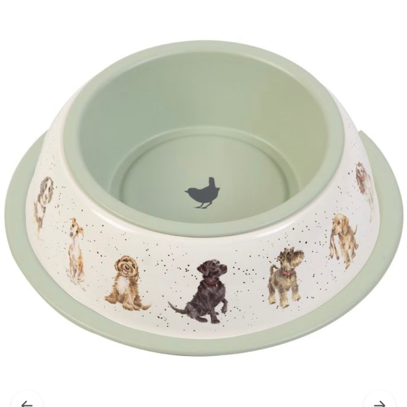 Dog Bowl