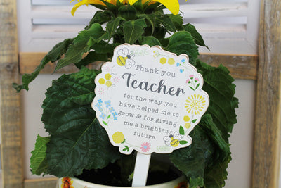 Teacher Plant Pot Stick