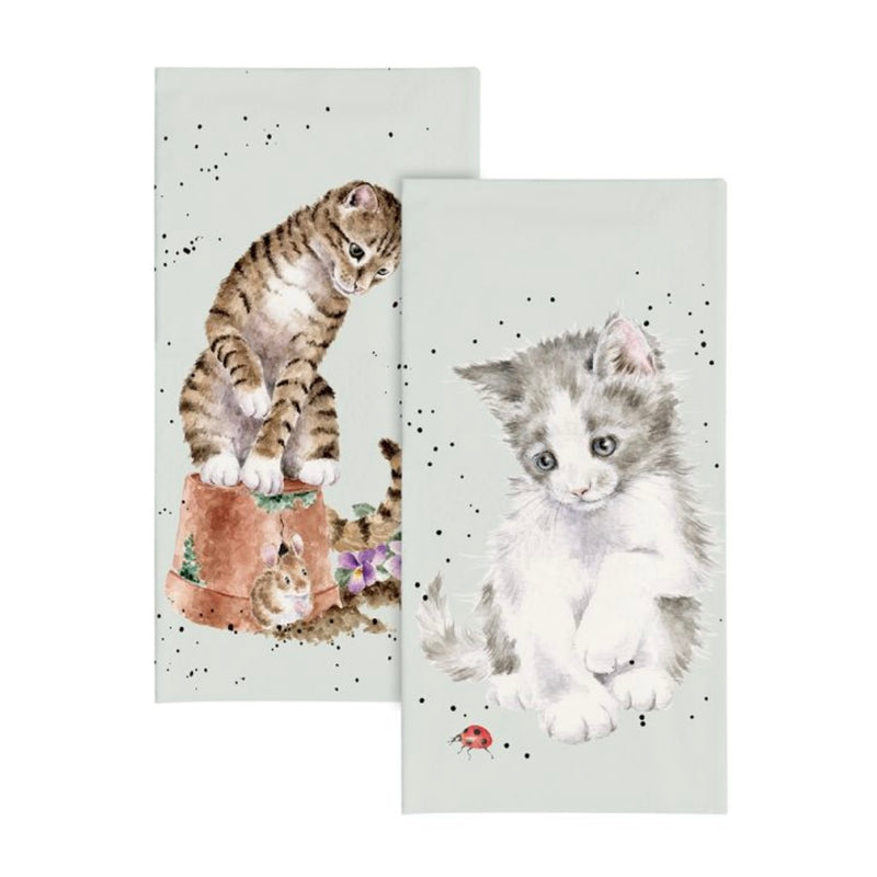 Cat & Ladybird Pocket Tissues