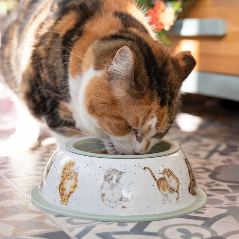 Cat Bowl