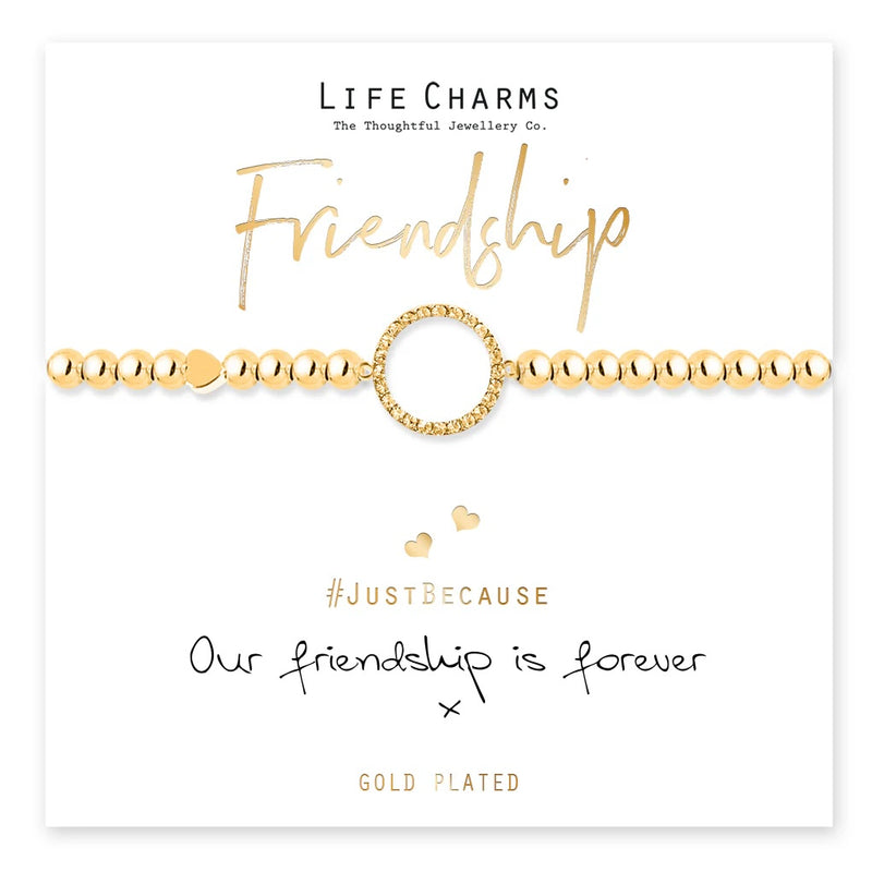 Friendship Bracelet