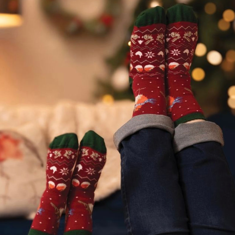 ‘Seasons Tweetings’ Children’s Robin Bamboo Socks