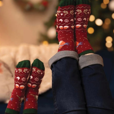 ‘Season’s Tweetings’  Women’s Christmas Robin Bamboo Socks