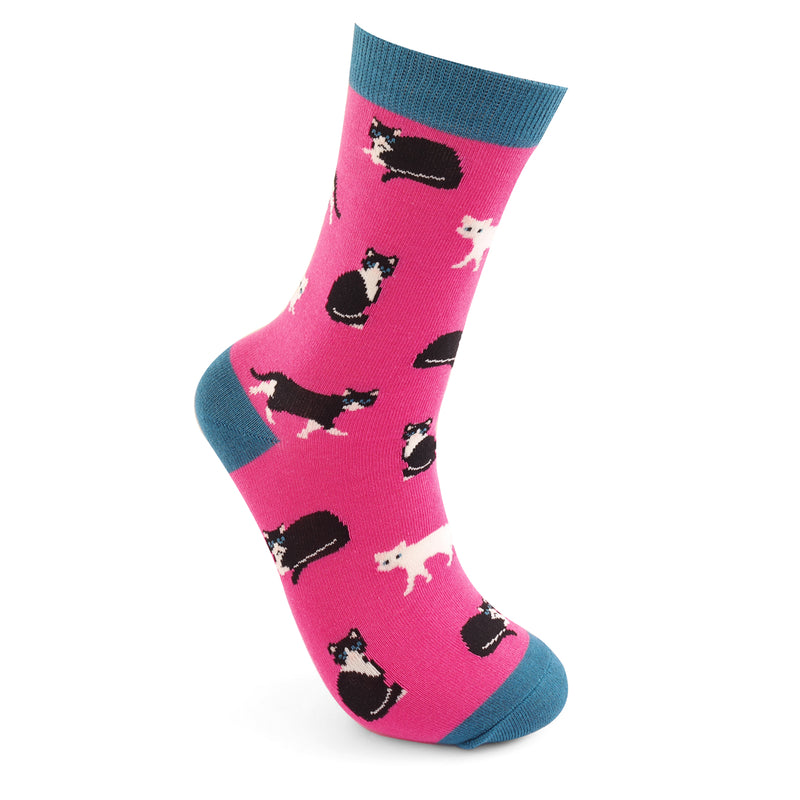 Black & White Cats Fuchshia Bamboo Socks