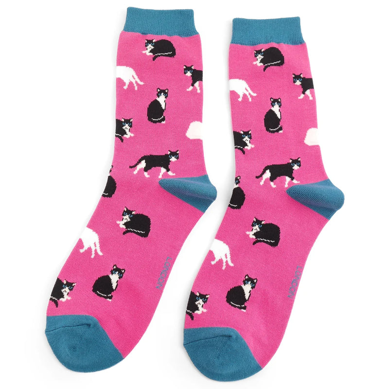 Black & White Cats Fuchshia Bamboo Socks