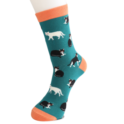 Black & White Cats Teal Bamboo Socks