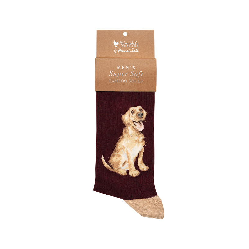 Golden Labrador Men&