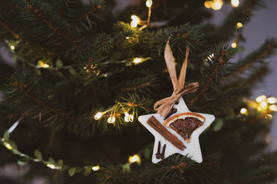 Spiced Orange Tree Decorations & Wax Melts