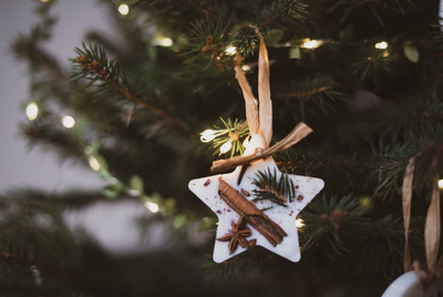 Christmas Tree Scent Tree Decorations & Wax Melts