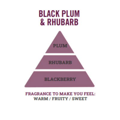 Black Plum & Rhubarb Mini Wax Melt Bar