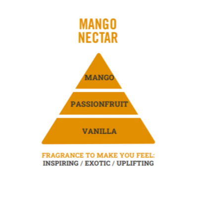 Mango Nectar Mini Wax Melt Bar