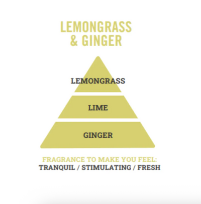 Lemongrass & Ginger Mini Wax Melt Bar