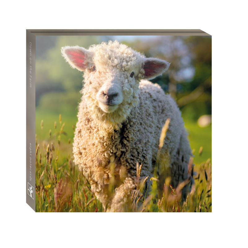 Down The Farm Notecard Packs