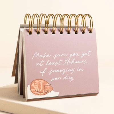 Be More Cat Flip Chart